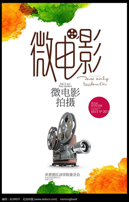 佛罗里达州ID作假